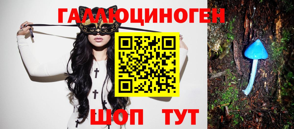 Псилоцибиновые грибы прущие грибы  Вход с VPN  Старая Русса 