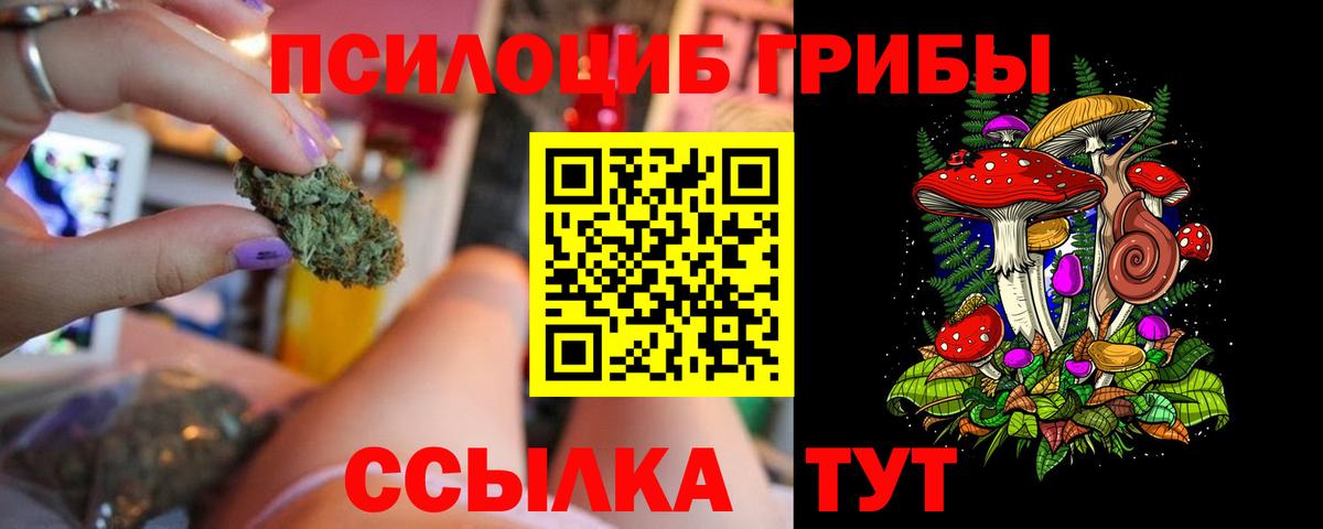 Галлюциногенные грибы мухоморы Старая Русса